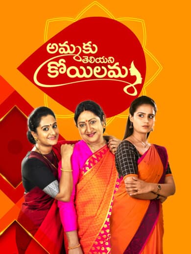 Ammaku Teliani Koyilamma — Television Serials